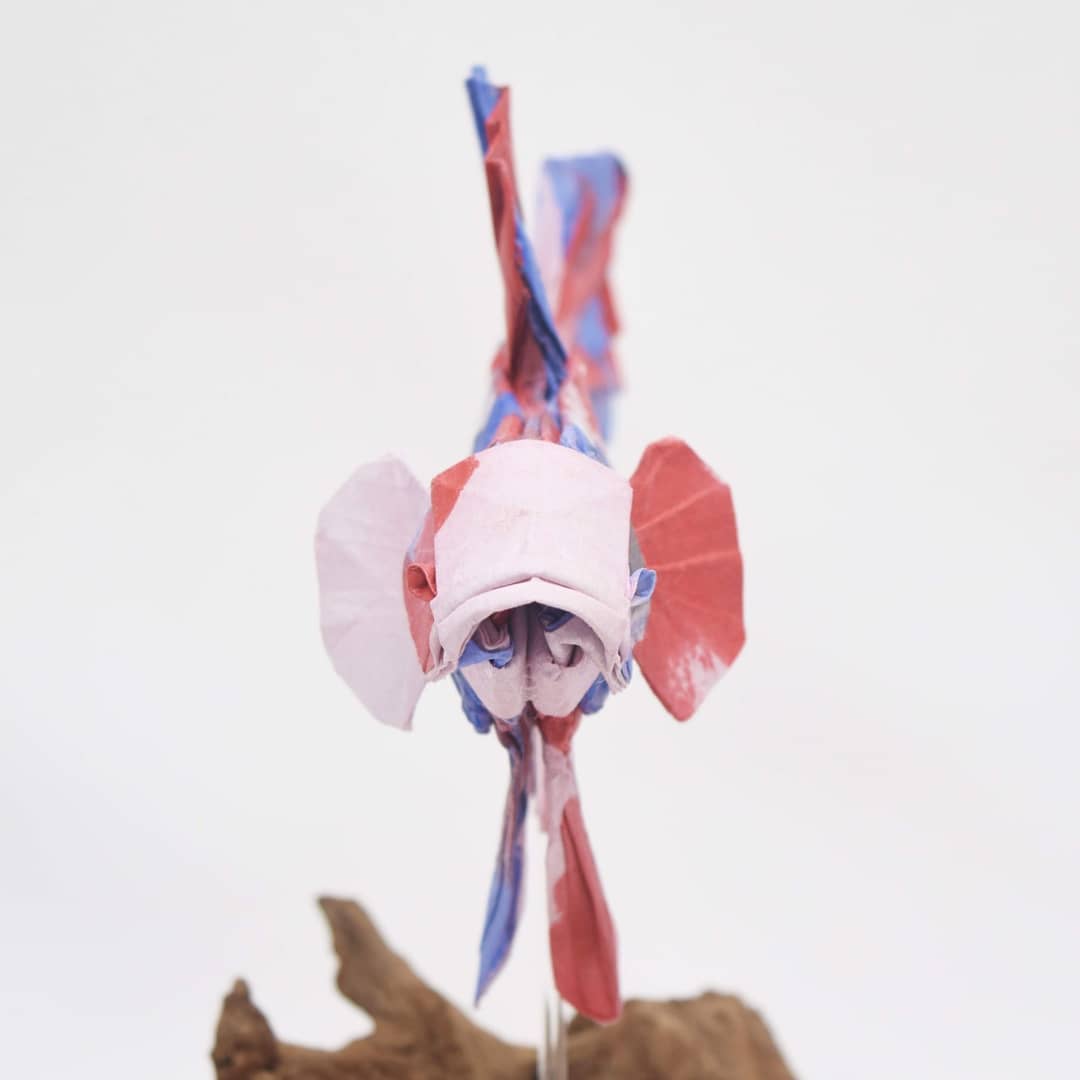 ベタ（2）