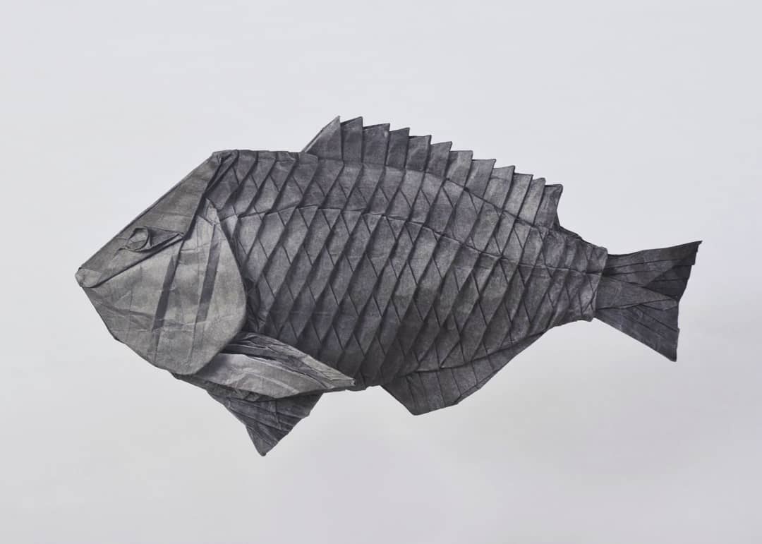 魚