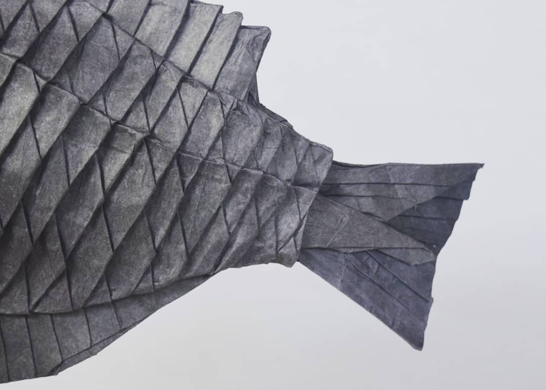 魚（3）